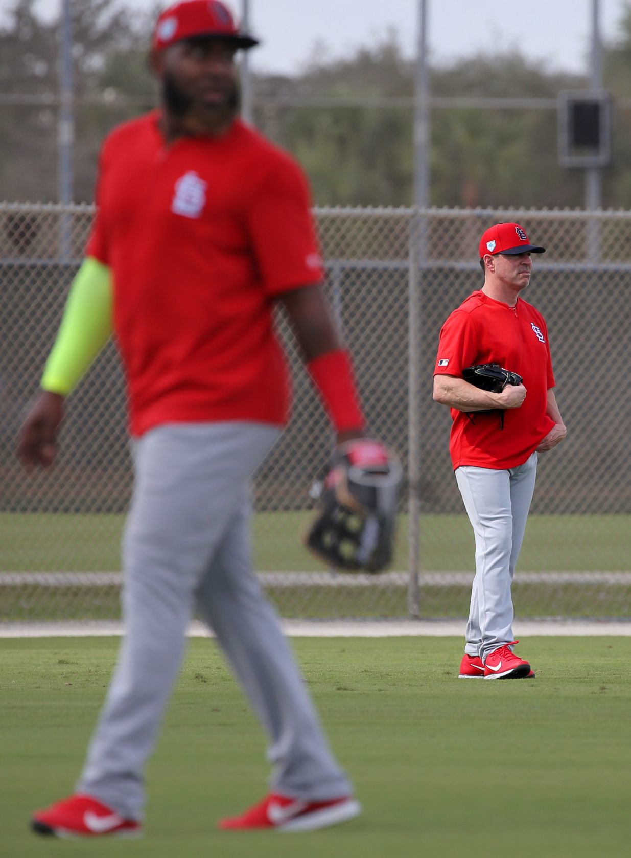 2019 Cardinals spring training
